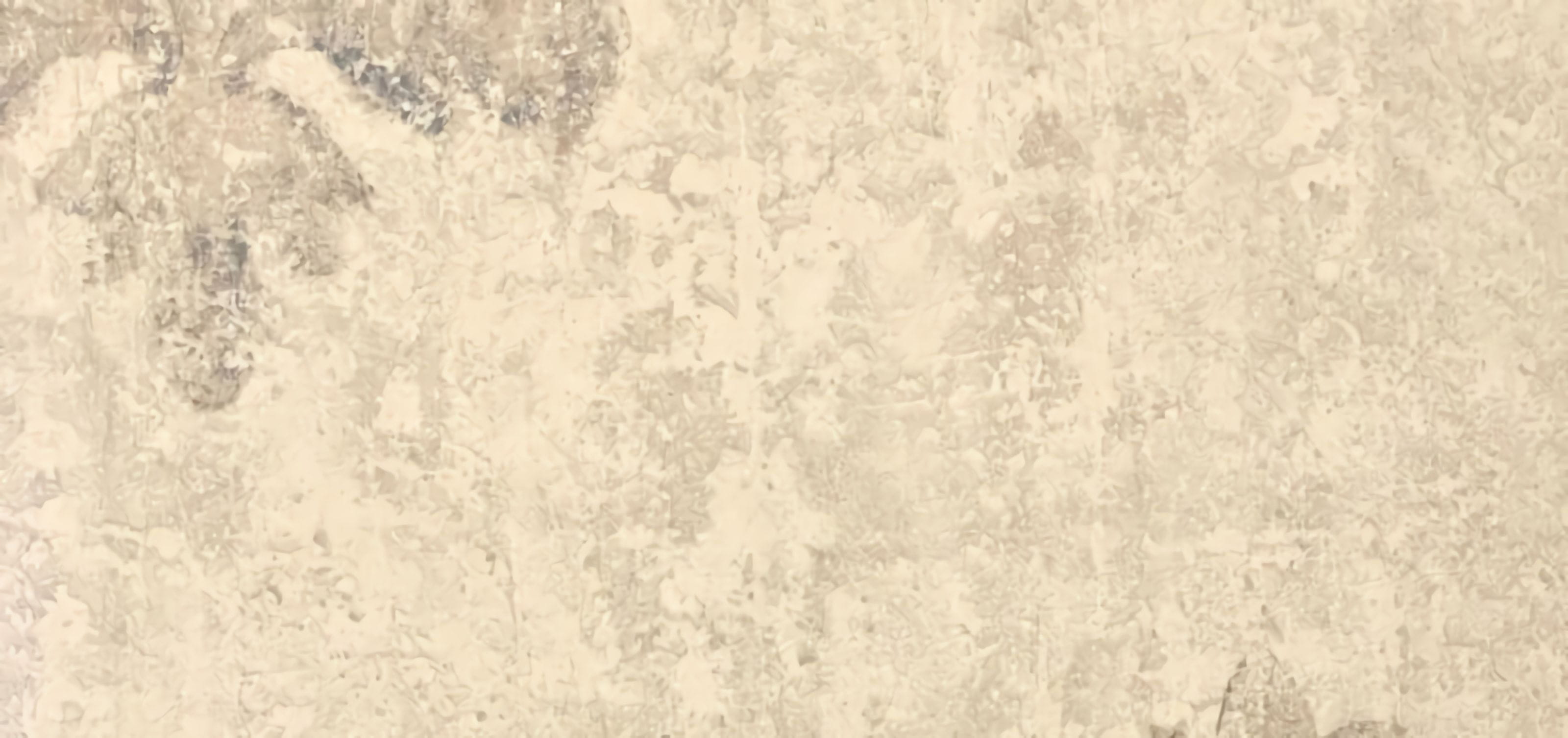 Товар добавлен в корзину