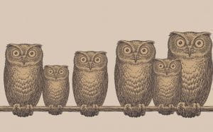 флизелиновые полностью обои розовые в комнату Cole Son с птицами Fornasetti 97/5016 На фото флизелиновые полностью обои розовые в комнату Cole Son с птицами Fornasetti 97/5016