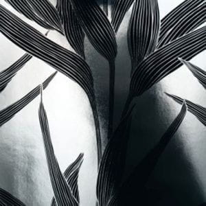 элитные флизелиновые полностью обои Architects Paper с деревьями арт-деко Chroma 1331-37 На фото элитные флизелиновые полностью обои Architects Paper с деревьями арт-деко Chroma 1331-37