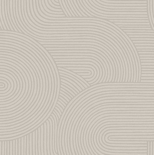 4732 Graphics