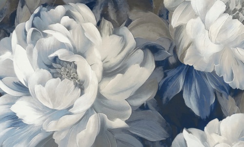 A79405 Anita