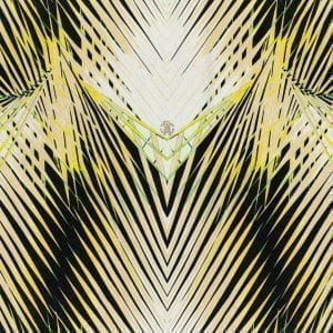 итальянские дорогие обои коричневые Roberto Cavalli Home 6 17002 На фото итальянские дорогие обои коричневые Roberto Cavalli Home 6 17002