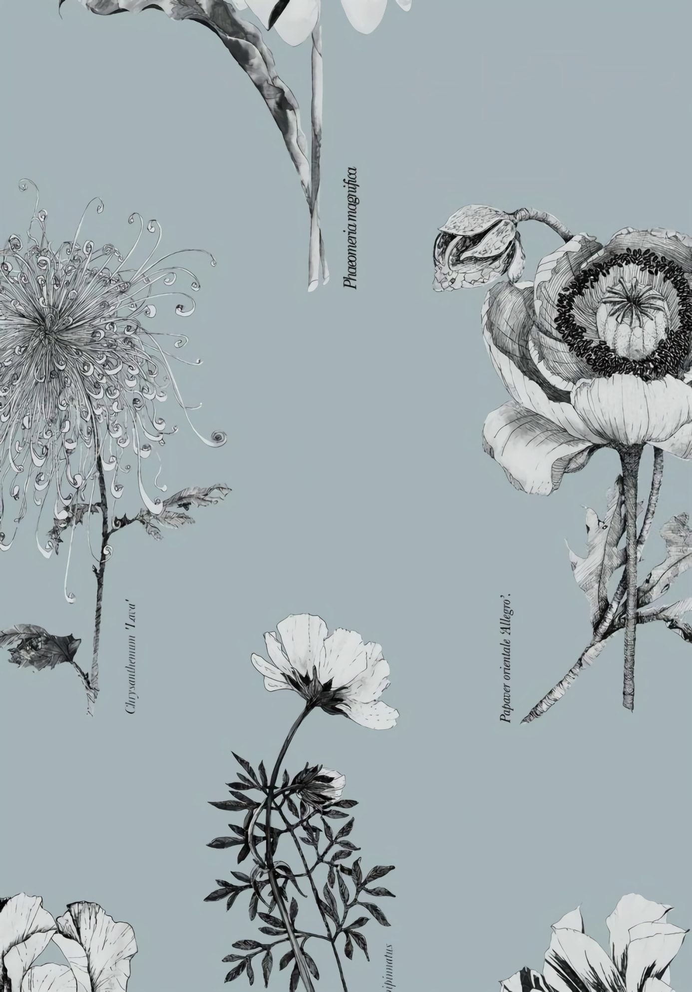 Товар добавлен в корзину