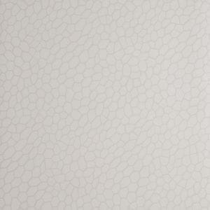 виниловые обои на флизелиновой основе в комнату Clarke&Clarke стиле «модерн» Reflections W0058-04 На фото виниловые обои на флизелиновой основе в комнату Clarke&Clarke стиле «модерн» Reflections W0058-04