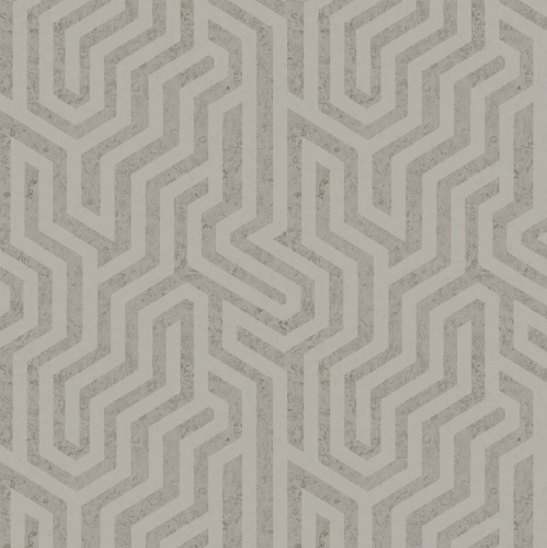 PA01629 Pavone