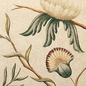 флизелиновые полностью обои коричневые в комнату Lewis&Wood Wide Width Wallpapers Adams-Eden-1275491599697 На фото флизелиновые полностью обои коричневые в комнату Lewis&Wood Wide Width Wallpapers Adams-Eden-1275491599697