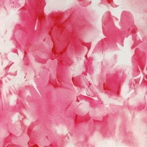 немецкие обои красные в спальню с цветами  P+S Flower Power 02470-32 На фото немецкие обои красные в спальню с цветами  P+S Flower Power 02470-32