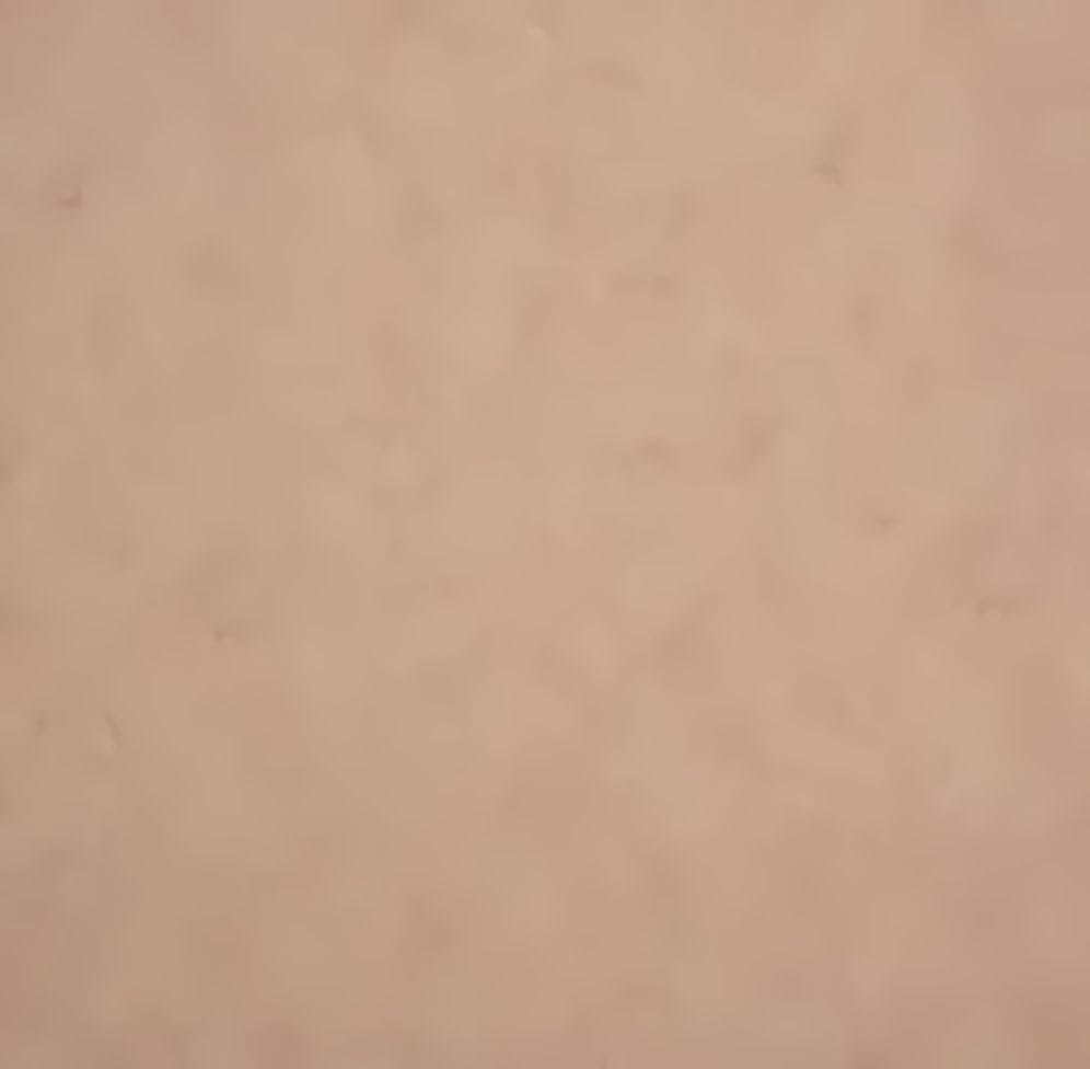 Товар добавлен в корзину