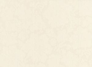 виниловые обои на бумажной основе Sirpi Italian Silk 21740 На фото виниловые обои на бумажной основе Sirpi Italian Silk 21740