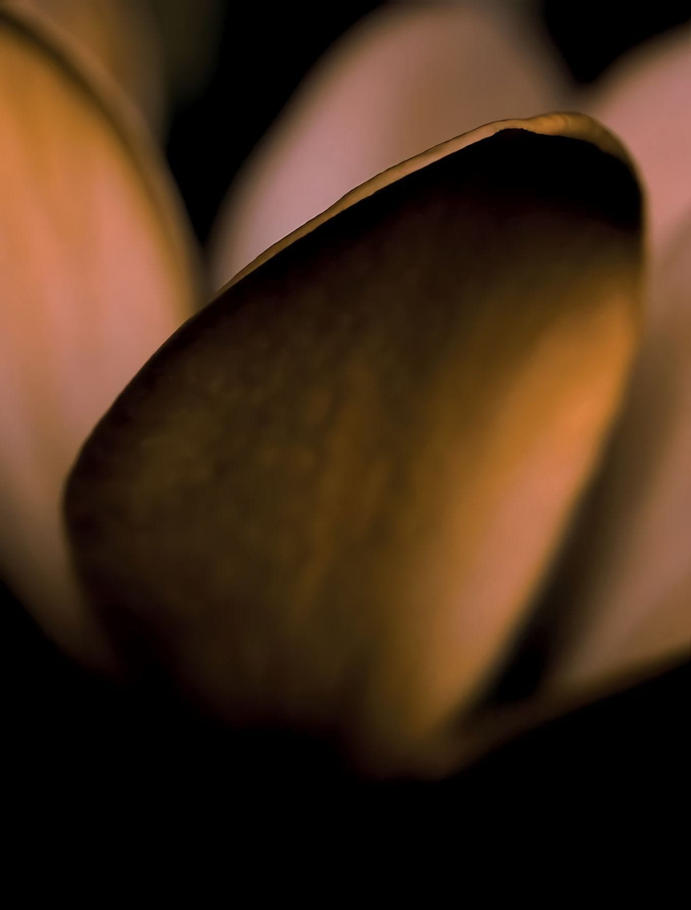 Товар добавлен в корзину