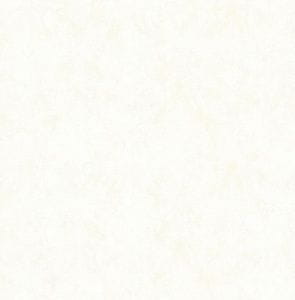 флизелиновые полностью обои белые в комнату KT-Exclusive с орнаментом Ars-botanica FD21624 На фото флизелиновые полностью обои белые в комнату KT-Exclusive с орнаментом Ars-botanica FD21624