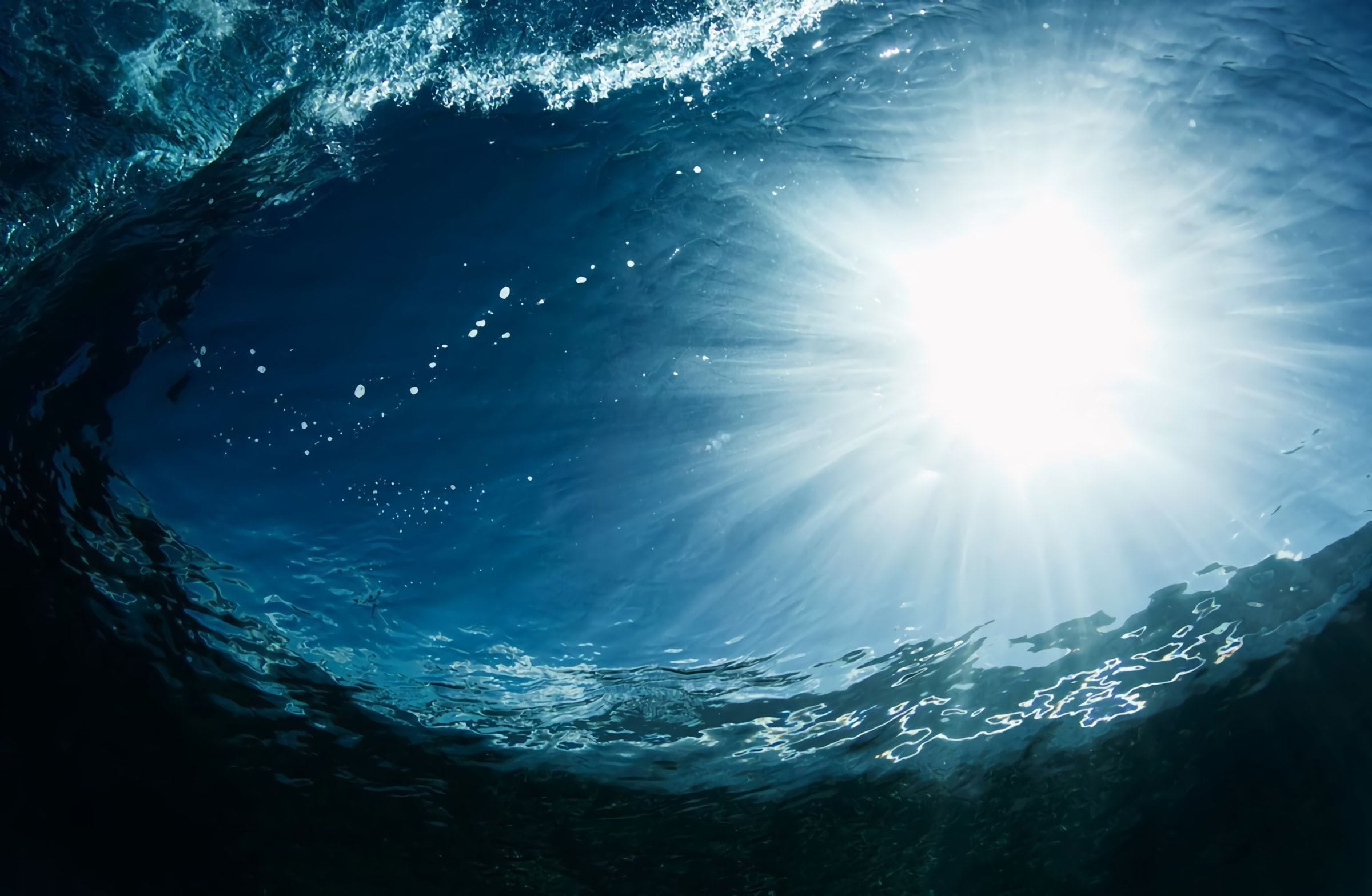 Товар добавлен в корзину