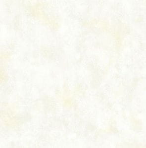 флизелиновые полностью обои KT-Exclusive однотонные Ars-botanica FD21650 На фото флизелиновые полностью обои KT-Exclusive однотонные Ars-botanica FD21650