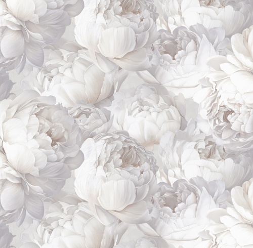 585332 Peony 585332 Peony