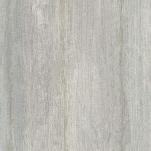 премиум бумажные обои капучино под дерево Chesapeake Sand Dollar DLR54615 На фото премиум бумажные обои капучино под дерево Chesapeake Sand Dollar DLR54615