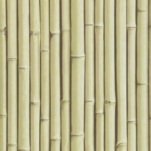 бельгийские премиум бумажные обои в комнату Covers с деревьями Elements Bamboo Buzz 23-Rattan На фото бельгийские премиум бумажные обои в комнату Covers с деревьями Elements Bamboo Buzz 23-Rattan