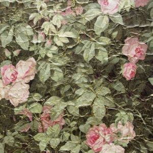 текстильные обои черные Zuber с цветами  Roses Anciennes ROSES_ANCIENNES_P__11 На фото текстильные обои черные Zuber с цветами  Roses Anciennes ROSES_ANCIENNES_P__11