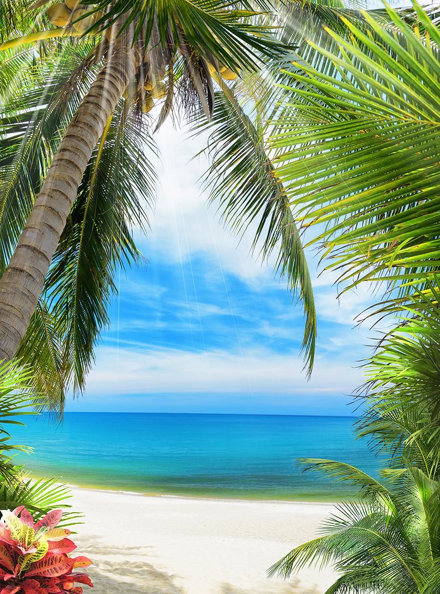 Товар добавлен в корзину