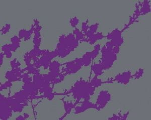 элитные обои в гостиную Rasch с деревьями Magic Walls 3 890006 На фото элитные обои в гостиную Rasch с деревьями Magic Walls 3 890006