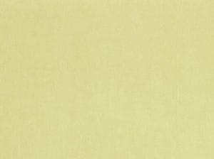 голландские дорогие обои зеленые BN International Color Stories 48466 На фото голландские дорогие обои зеленые BN International Color Stories 48466