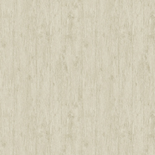 PA01633 Pavone