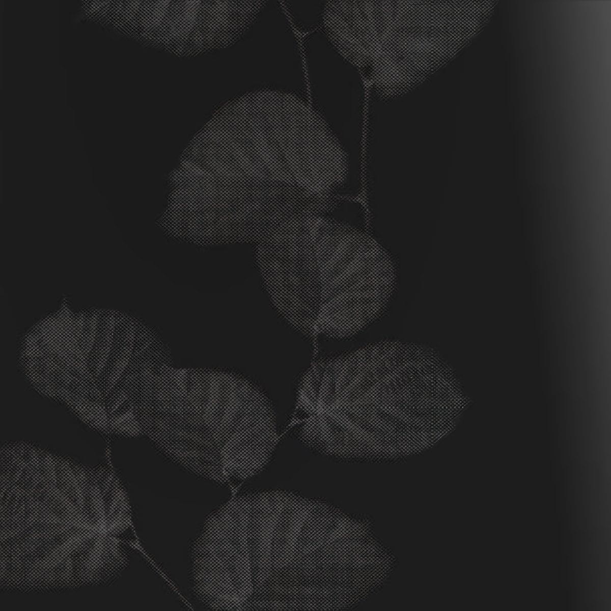 Товар добавлен в корзину