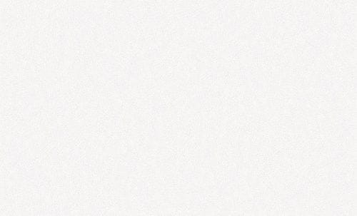 российские флизелиновые обои белые в гостиную Ateliero матовые Anime 88291-01 На фото российские флизелиновые обои белые в гостиную Ateliero матовые Anime 88291-01