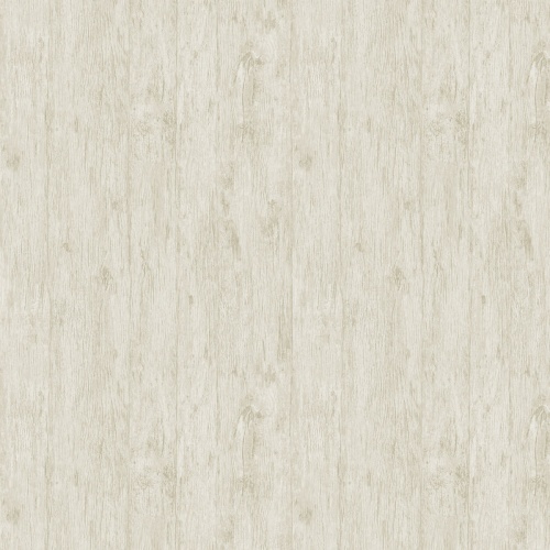PA01636 Pavone