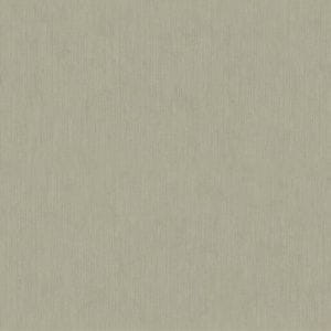 обои белые rasch 3д эффект арт-деко York Texture Portfolio MT1422 На фото обои белые rasch 3д эффект арт-деко York Texture Portfolio MT1422