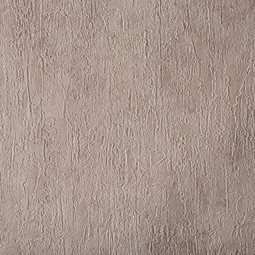 R22664 Modelli di Vita
