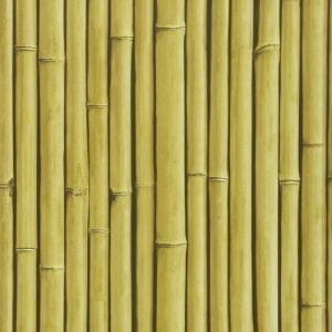 бельгийские премиум бумажные обои в комнату Covers с деревьями Elements Bamboo Buzz 24-Hay На фото бельгийские премиум бумажные обои в комнату Covers с деревьями Elements Bamboo Buzz 24-Hay