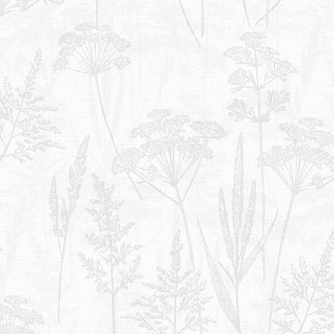 54493-1 Bocca