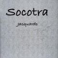 Arlin Socotra Arlin Socotra