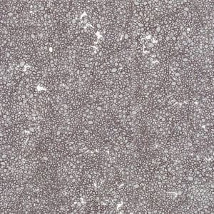 обои серые в гостиную Tres Tintas Wall A Porter 2008-7 На фото обои серые в гостиную Tres Tintas Wall A Porter 2008-7