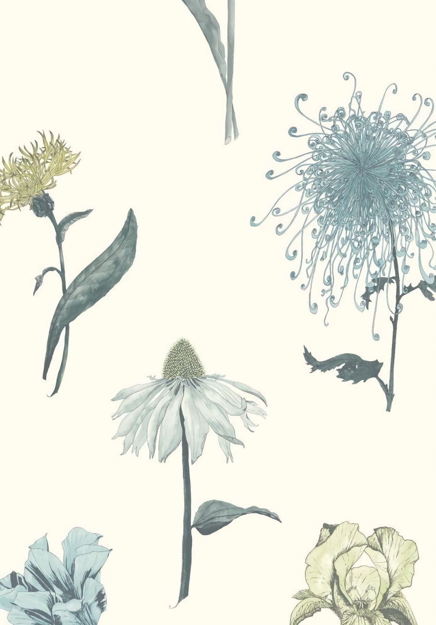 Товар добавлен в корзину