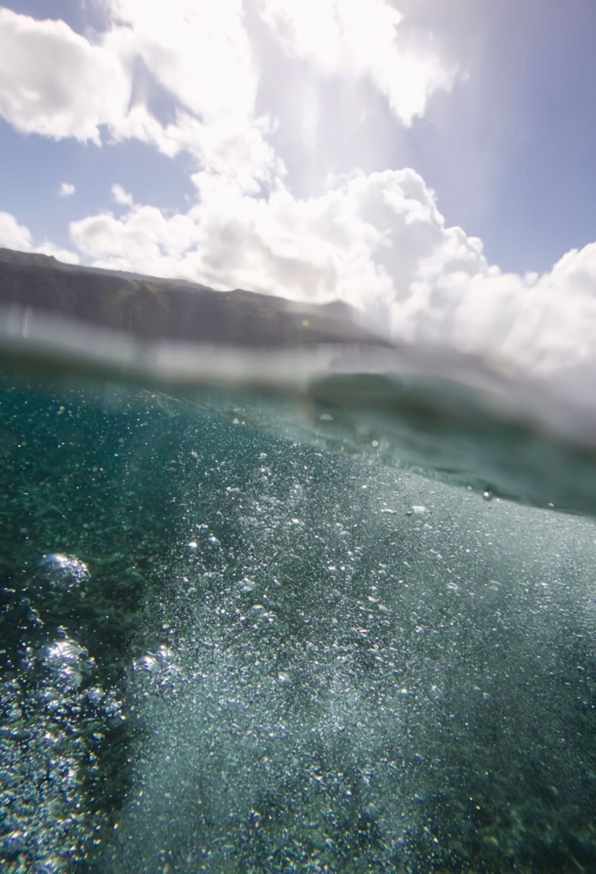 Товар добавлен в корзину