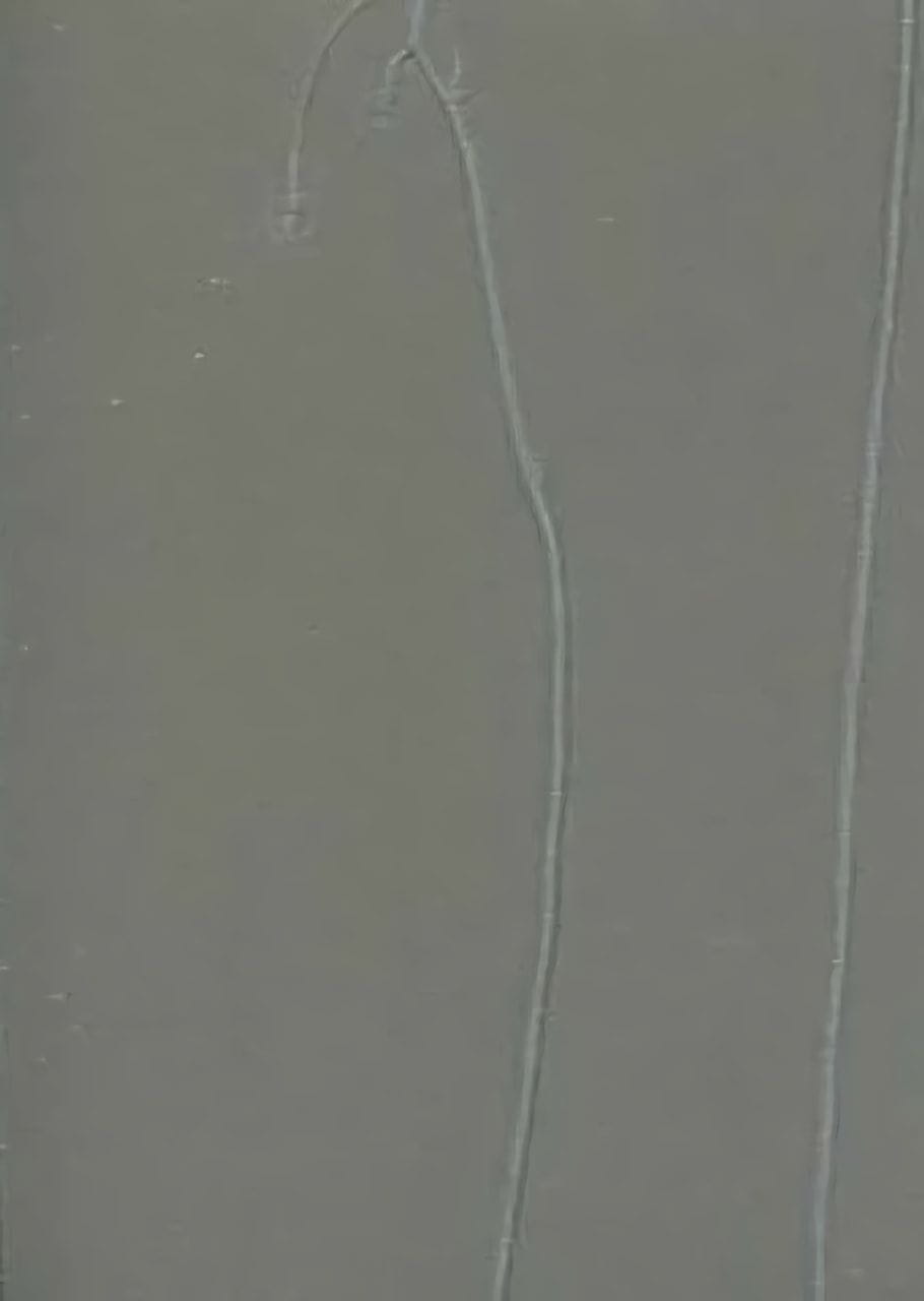 Товар добавлен в корзину