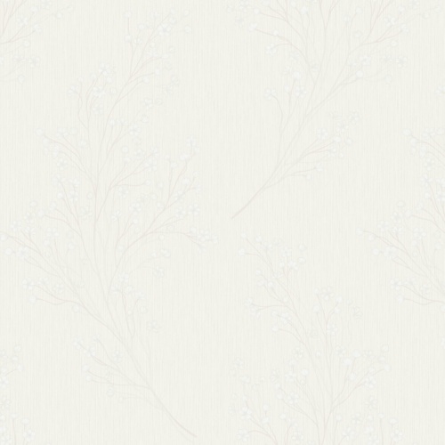 A81901 Anita