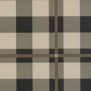 обои капучино в коридор Lewis&Wood Classic Wallpapers Tartan-Black-And-Tan-Wpcw На фото обои капучино в коридор Lewis&Wood Classic Wallpapers Tartan-Black-And-Tan-Wpcw