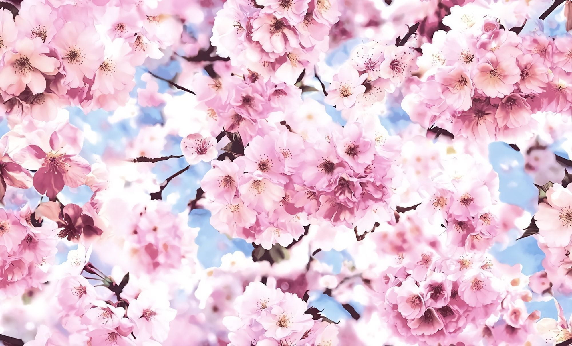 Товар добавлен в корзину