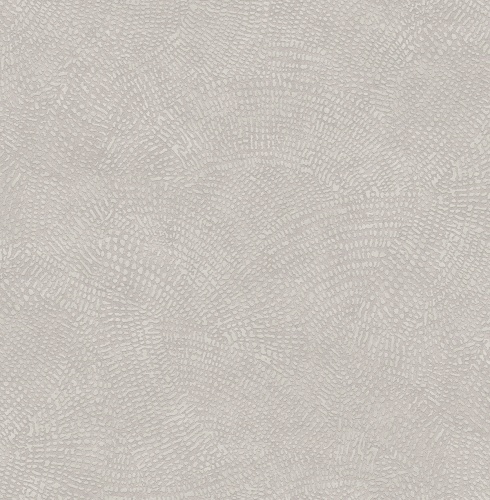 585008 Markus