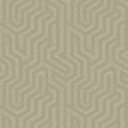 PA01632 Pavone