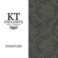 KT-Exclusive Signature KT-Exclusive Signature