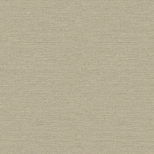 PA01607 Pavone