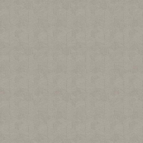 PA01620 Pavone