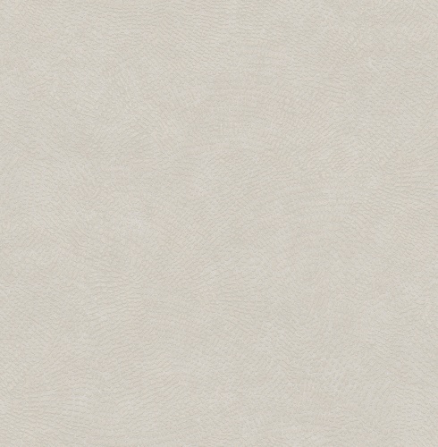 585018 Markus