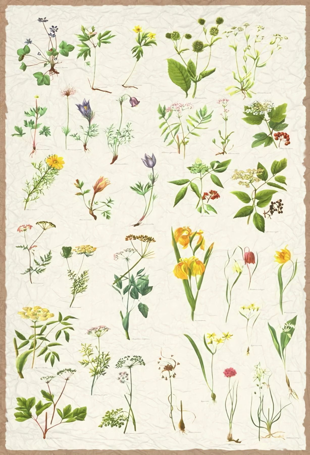 Товар добавлен в корзину