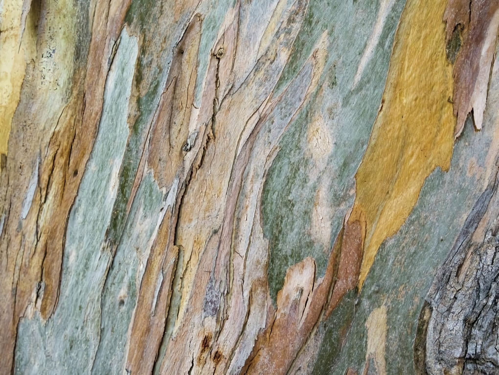 Товар добавлен в корзину