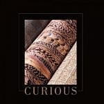 BN International Curious BN International Curious