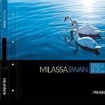 Milassa Swan Milassa Swan